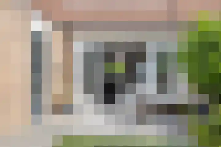 Veenmos 9 Reeuwijk thumbnail 30