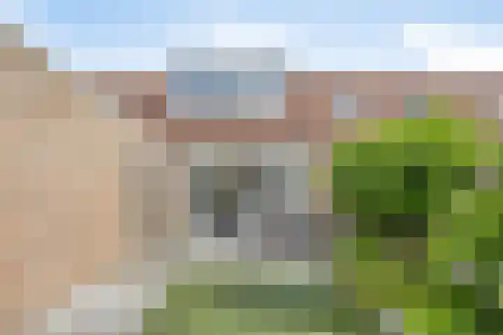 Veenmos 9 Reeuwijk thumbnail 31