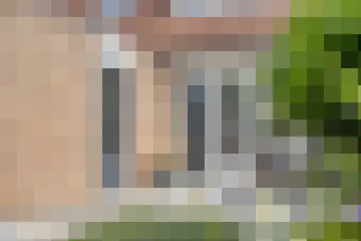 Veenmos 9 Reeuwijk thumbnail 32