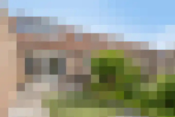Veenmos 9 Reeuwijk thumbnail 33