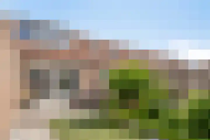 Veenmos 9 Reeuwijk thumbnail 34