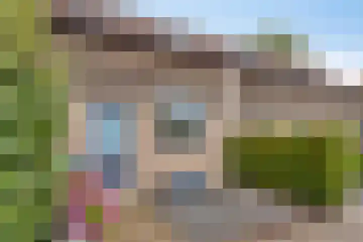 Veenmos 9 Reeuwijk thumbnail 35