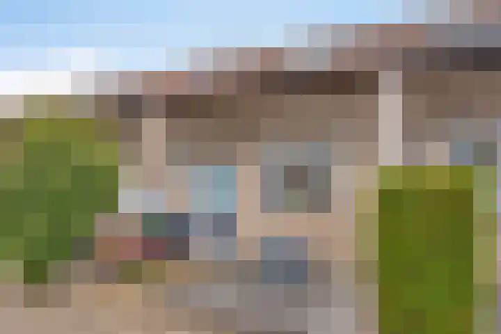 Veenmos 9 Reeuwijk thumbnail 36