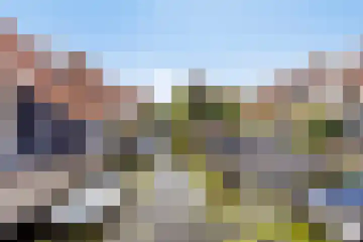 Veenmos 9 Reeuwijk thumbnail 37