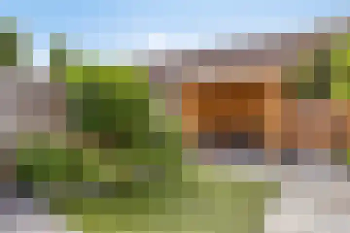 Veenmos 9 Reeuwijk thumbnail 4