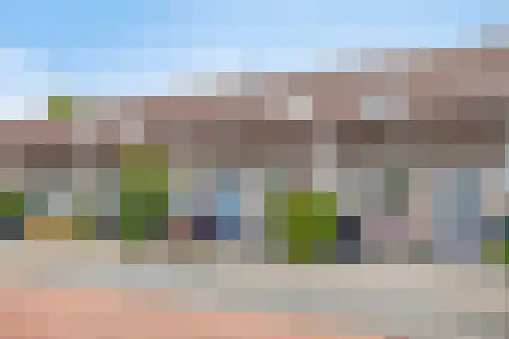 Veenmos 9 Reeuwijk thumbnail 5