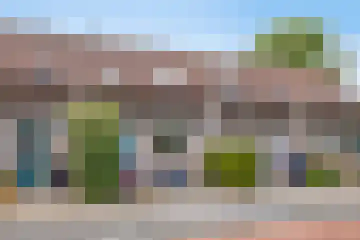 Veenmos 9 Reeuwijk thumbnail 6