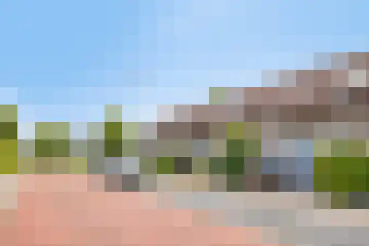 Veenmos 9 Reeuwijk thumbnail 7