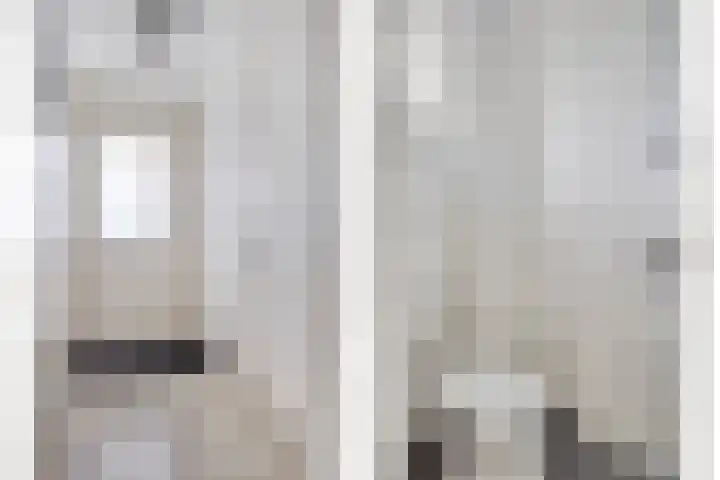 Veenmos 9 Reeuwijk thumbnail 8
