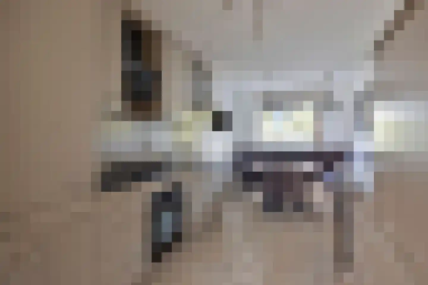 Veenmos 9 Zwolle thumbnail 11