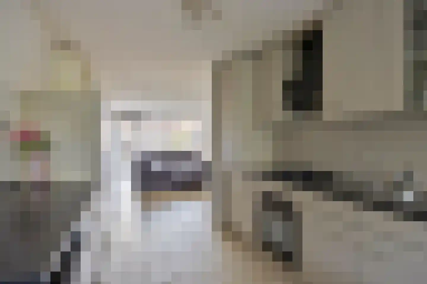 Veenmos 9 Zwolle thumbnail 14