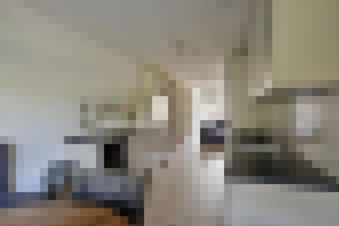 Veenmos 9 Zwolle thumbnail 15