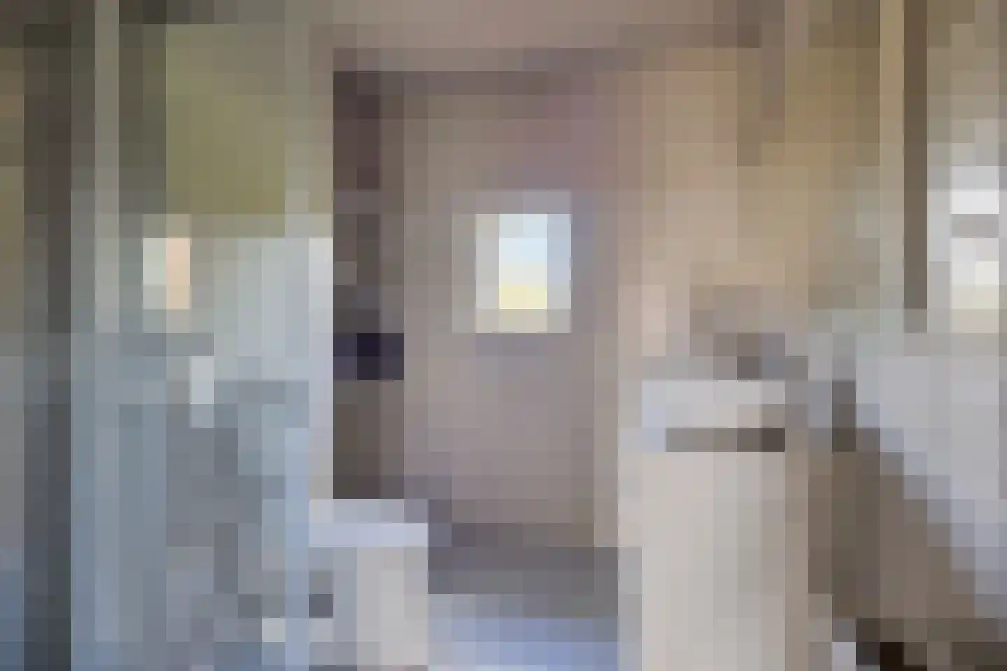 Veenmos 9 Zwolle thumbnail 18