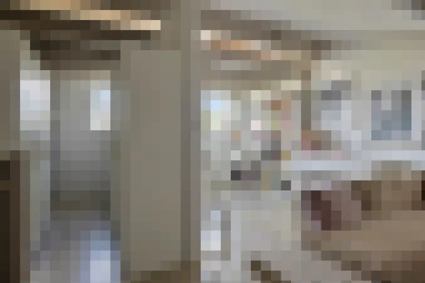 Veenmos 9 Zwolle thumbnail 23