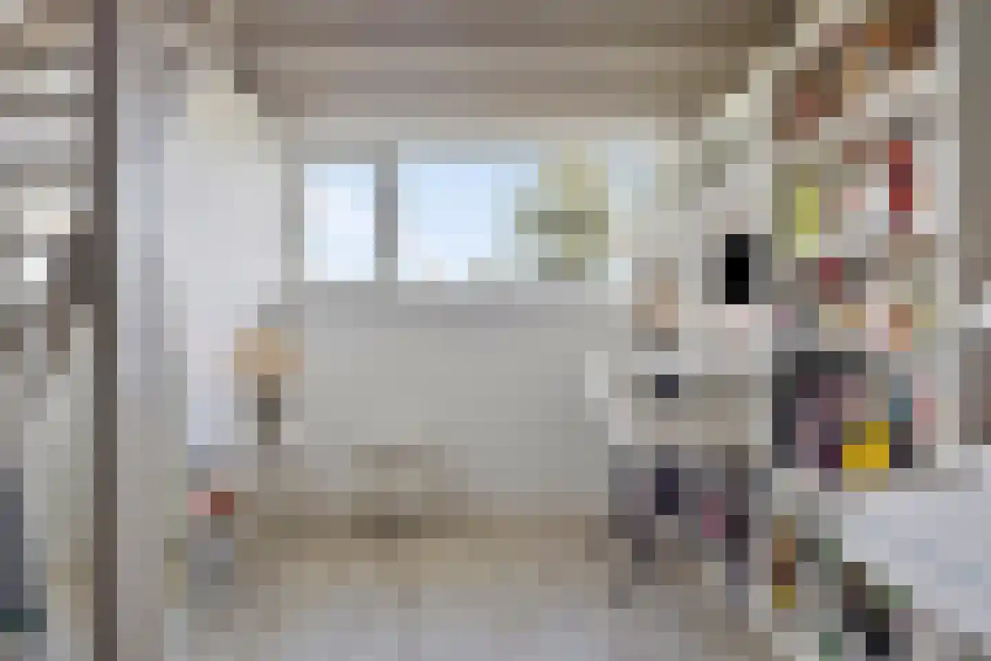 Veenmos 9 Zwolle thumbnail 24