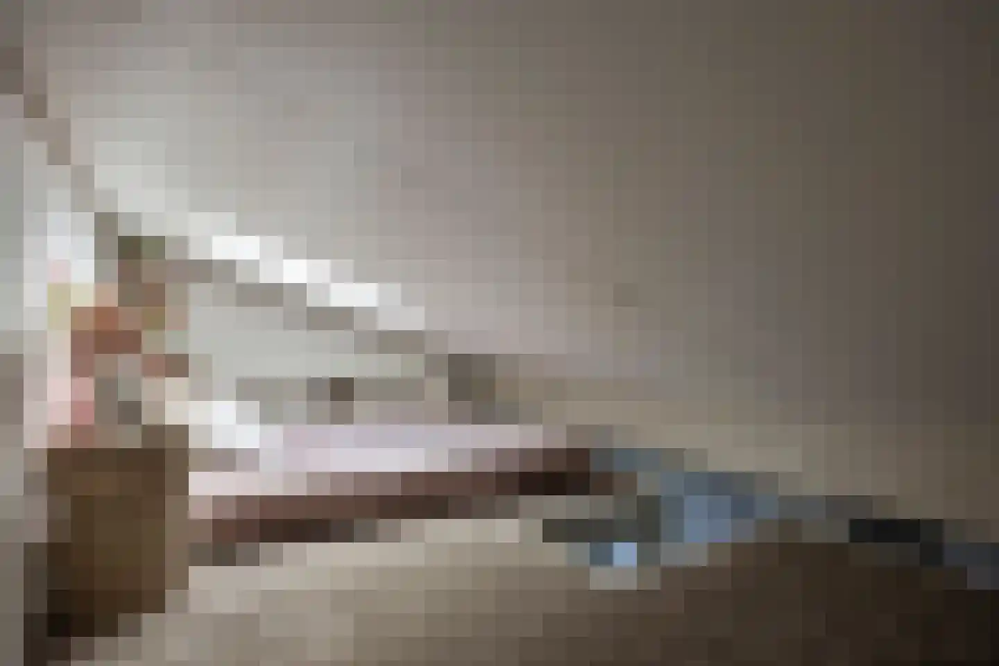 Veenmos 9 Zwolle thumbnail 26
