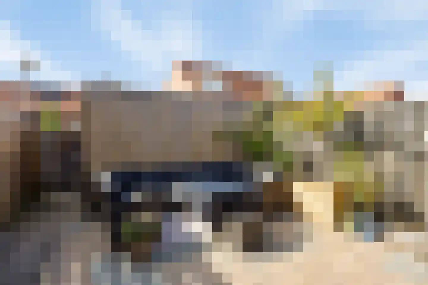 Veenmos 9 Zwolle thumbnail 29