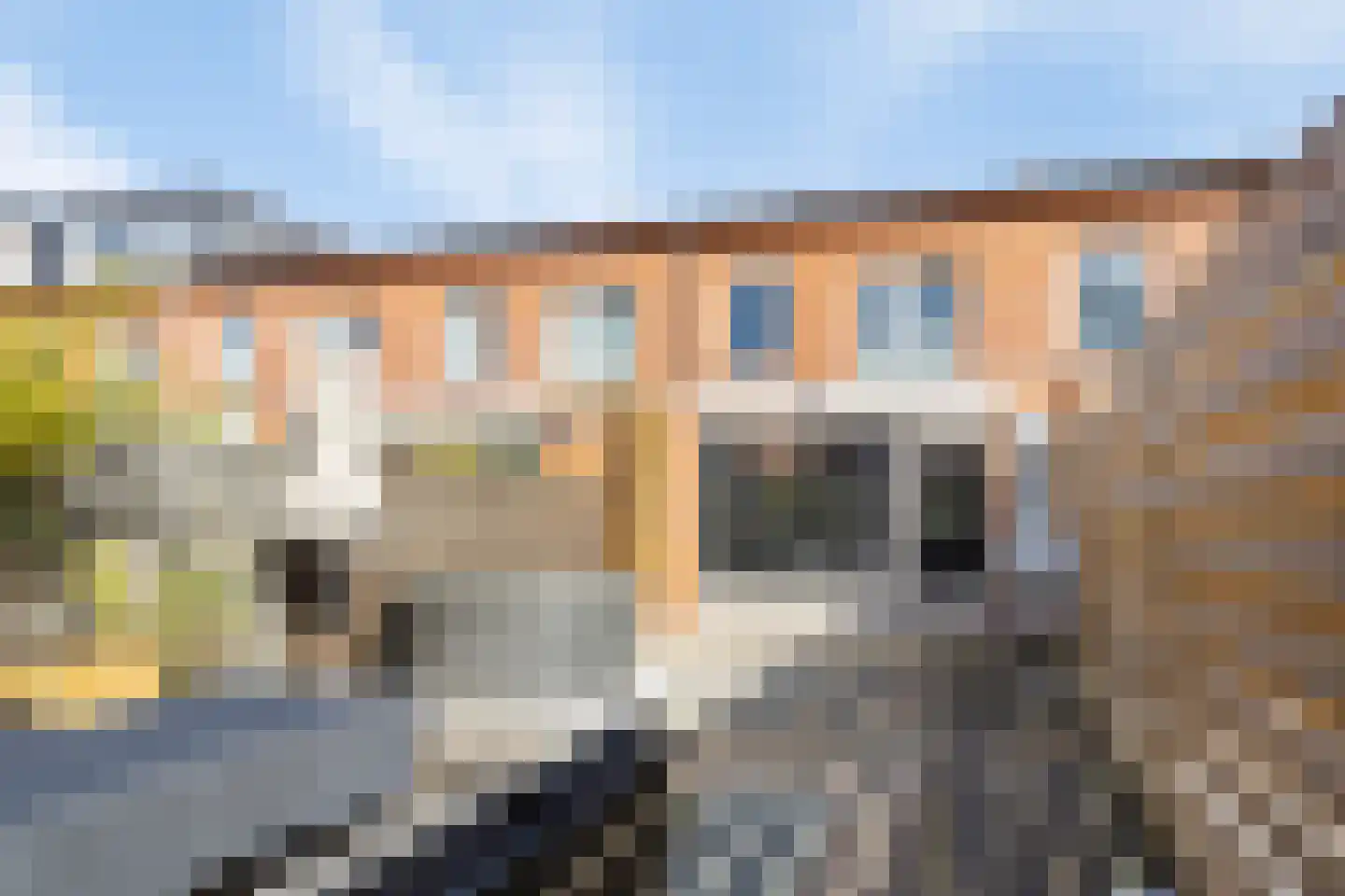 Veenmos 9 Zwolle thumbnail 30