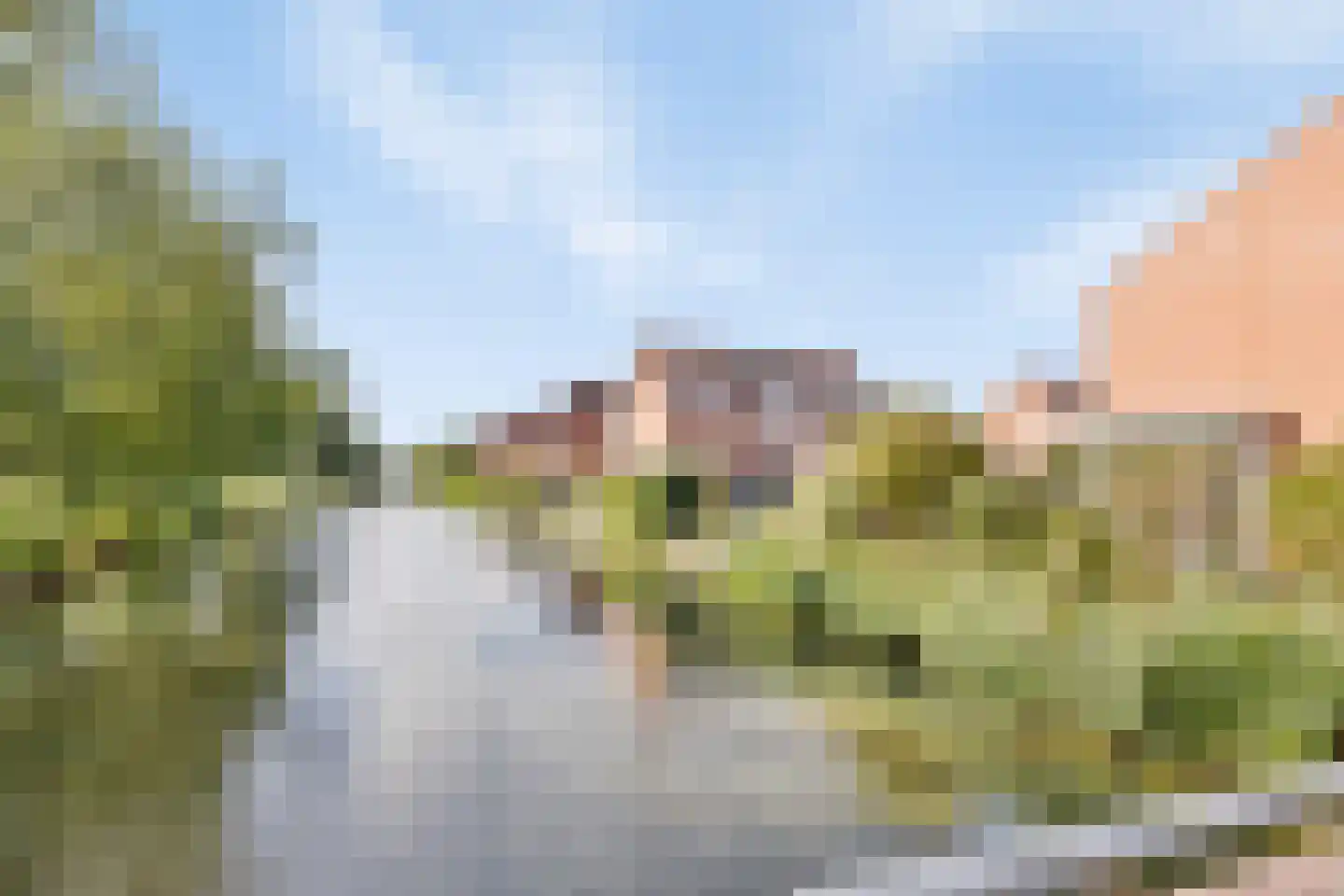Veenmos 9 Zwolle thumbnail 32