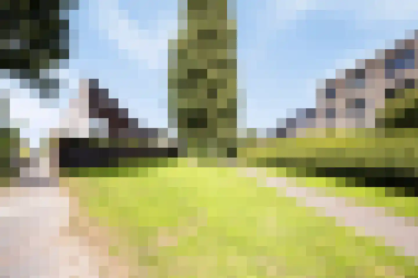 Veenmos 9 Zwolle thumbnail 33