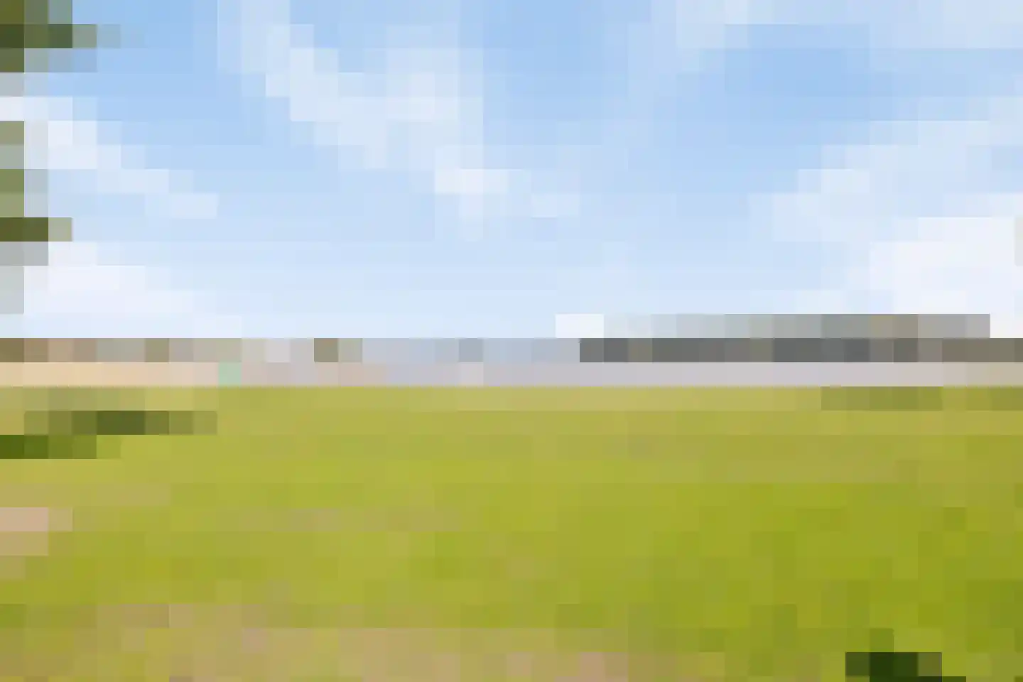 Veenmos 9 Zwolle thumbnail 34