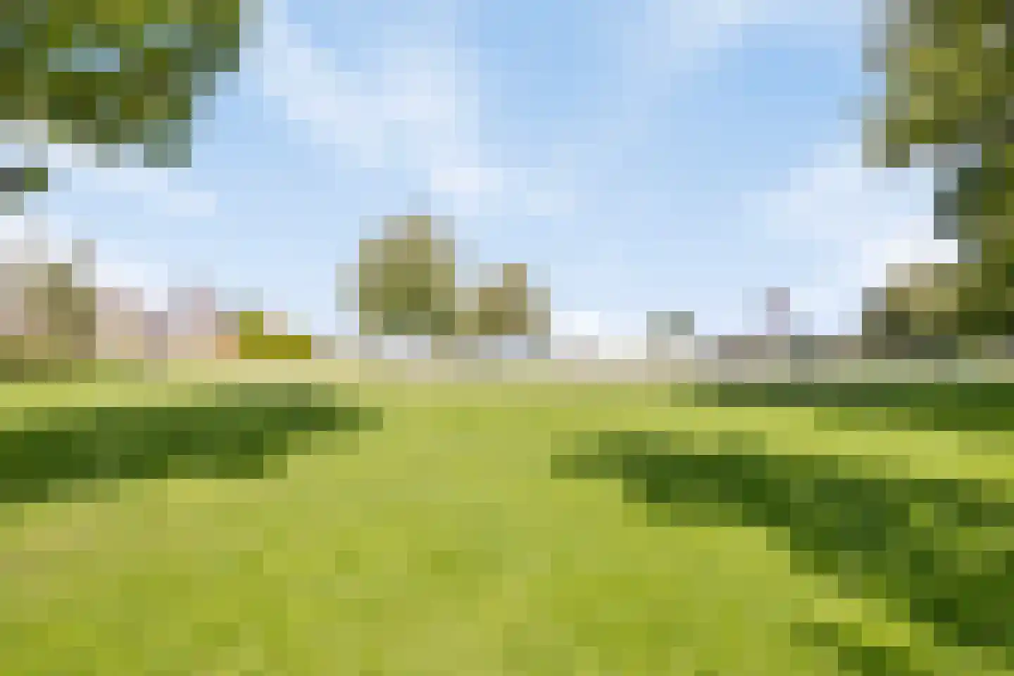 Veenmos 9 Zwolle thumbnail 5