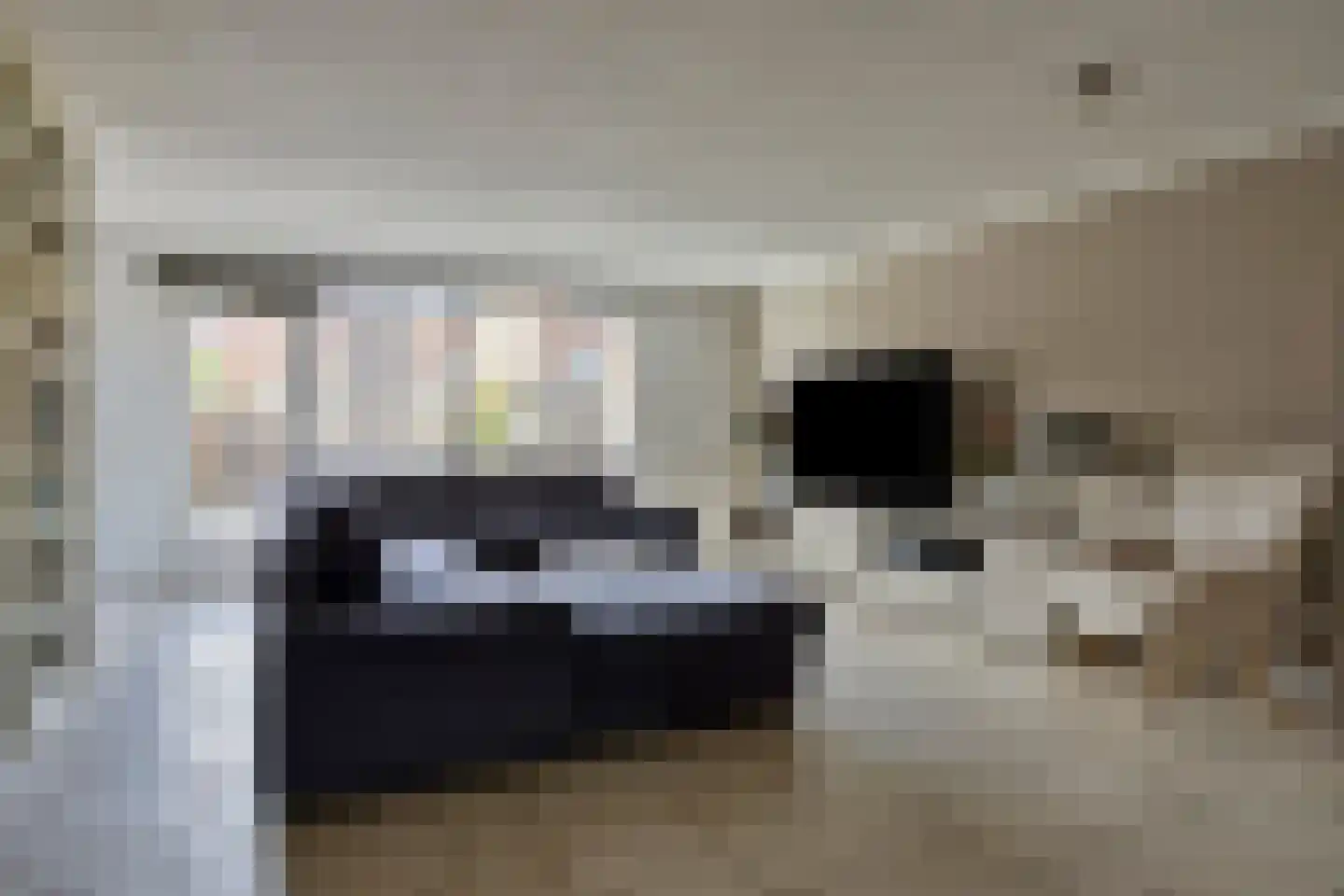 Veenmos 9 Zwolle thumbnail 8