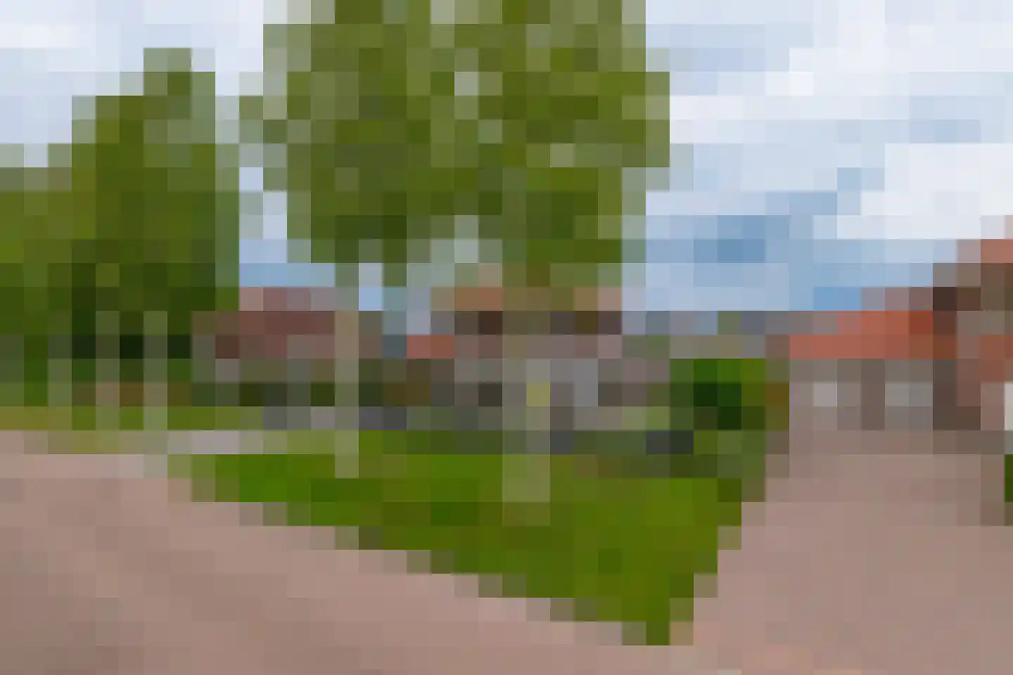 Veenmoslaan 12 Nieuw-Buinen thumbnail 10