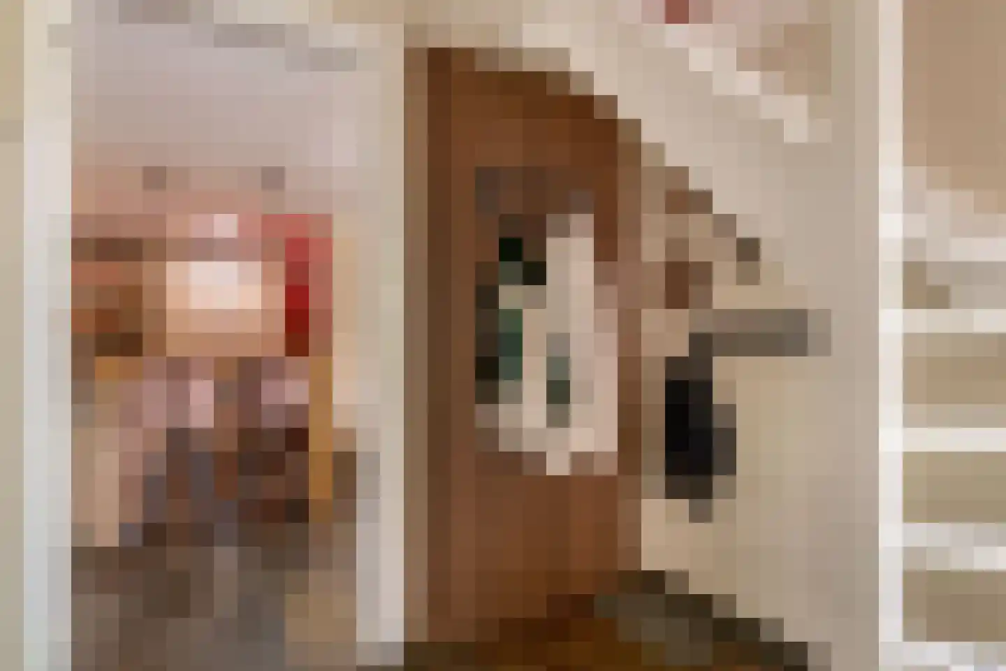 Veenmoslaan 12 Nieuw-Buinen thumbnail 17