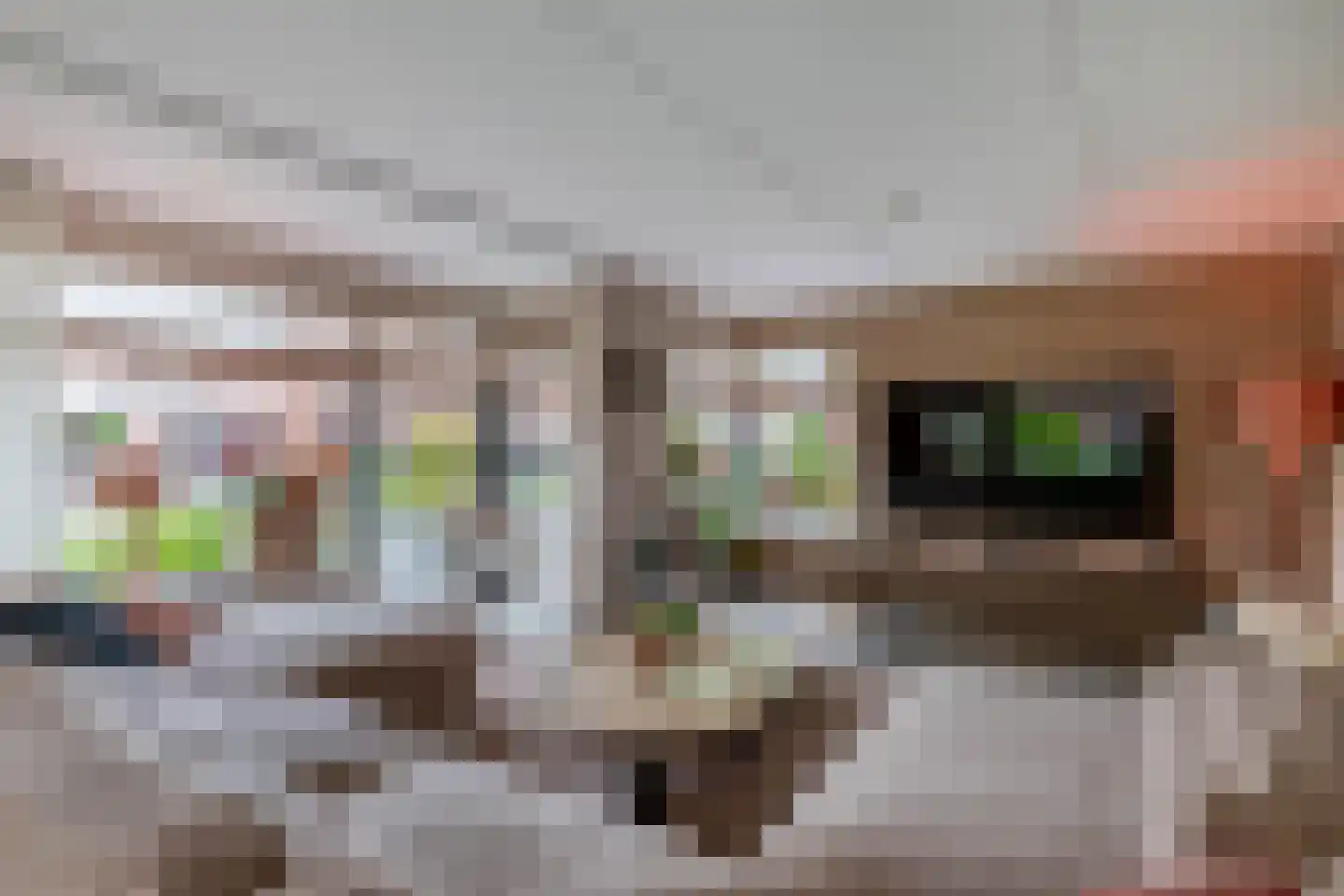Veenmoslaan 12 Nieuw-Buinen thumbnail 19