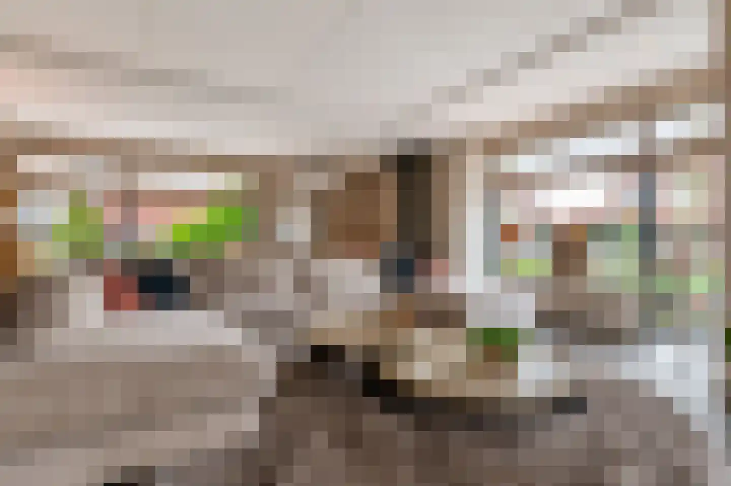 Veenmoslaan 12 Nieuw-Buinen thumbnail 21
