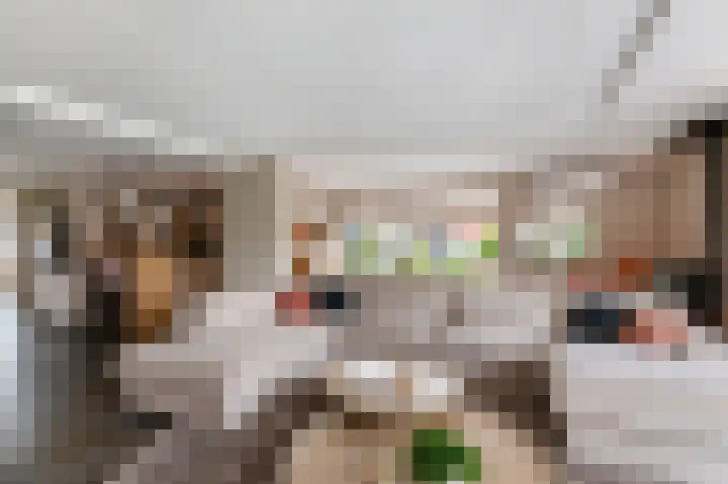 Veenmoslaan 12 Nieuw-Buinen thumbnail 23