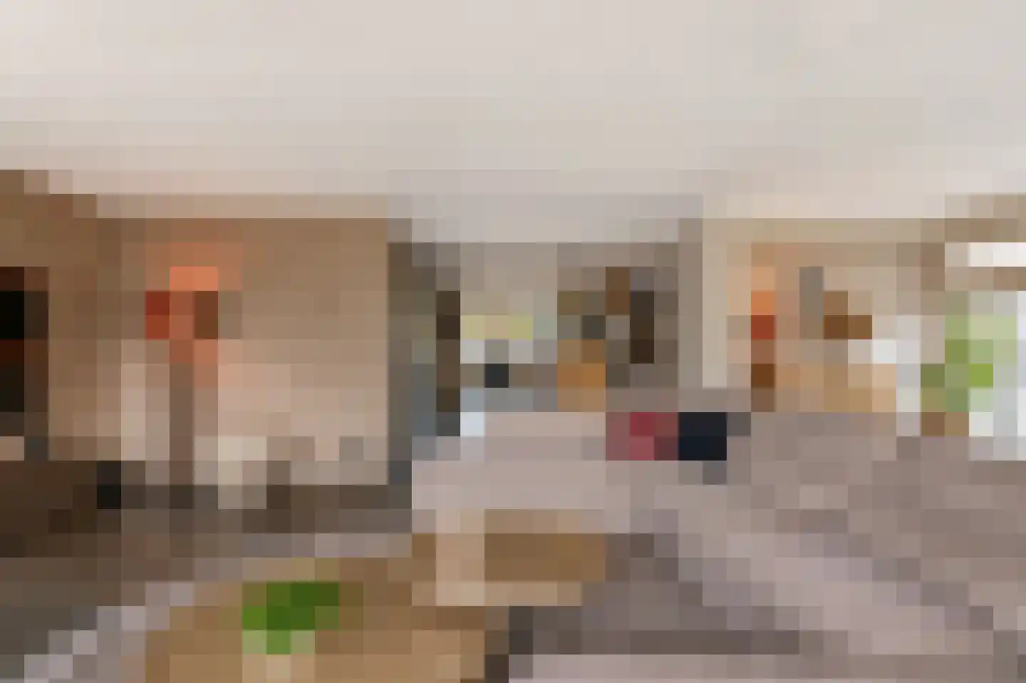 Veenmoslaan 12 Nieuw-Buinen thumbnail 24