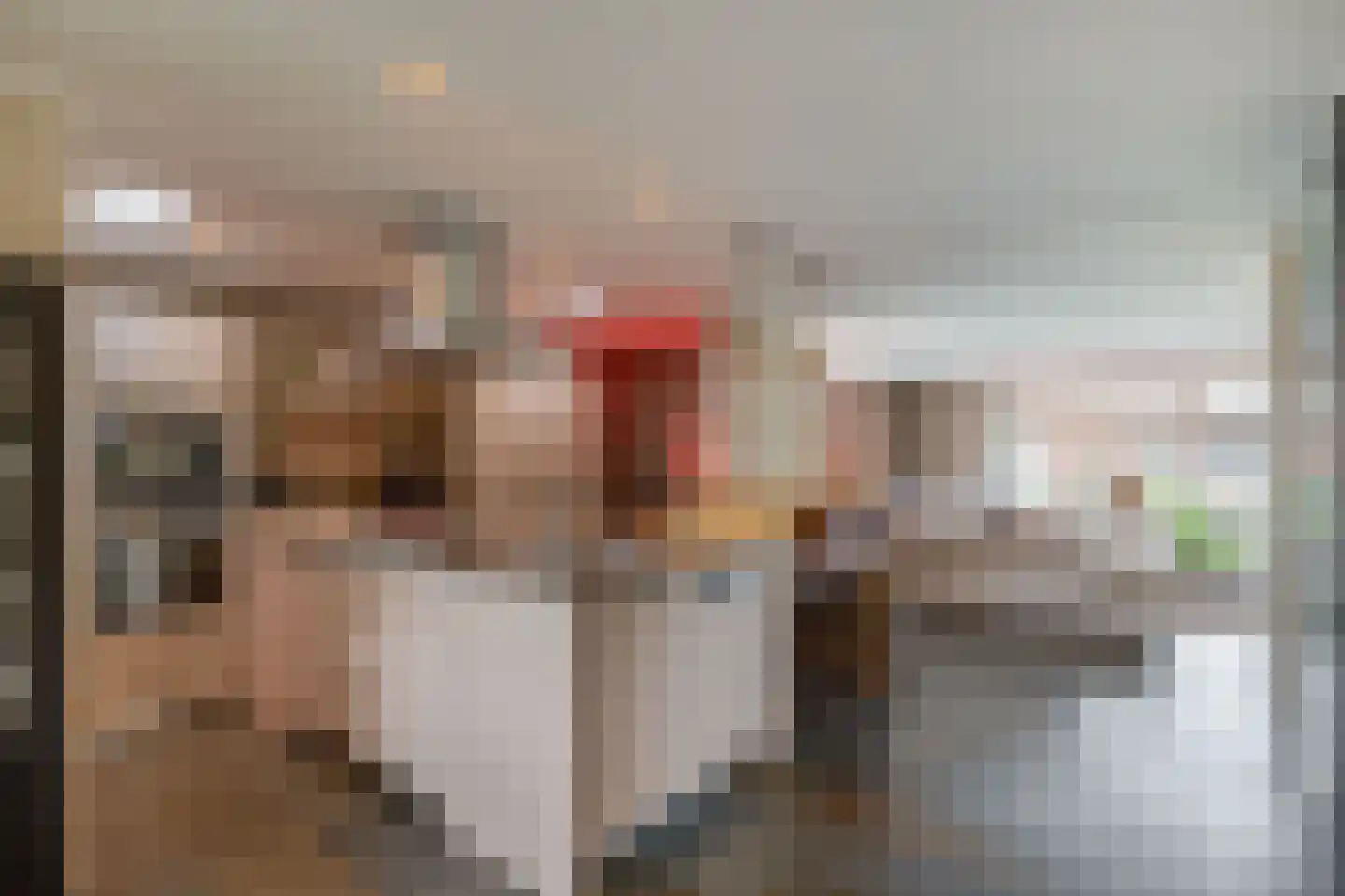 Veenmoslaan 12 Nieuw-Buinen thumbnail 26