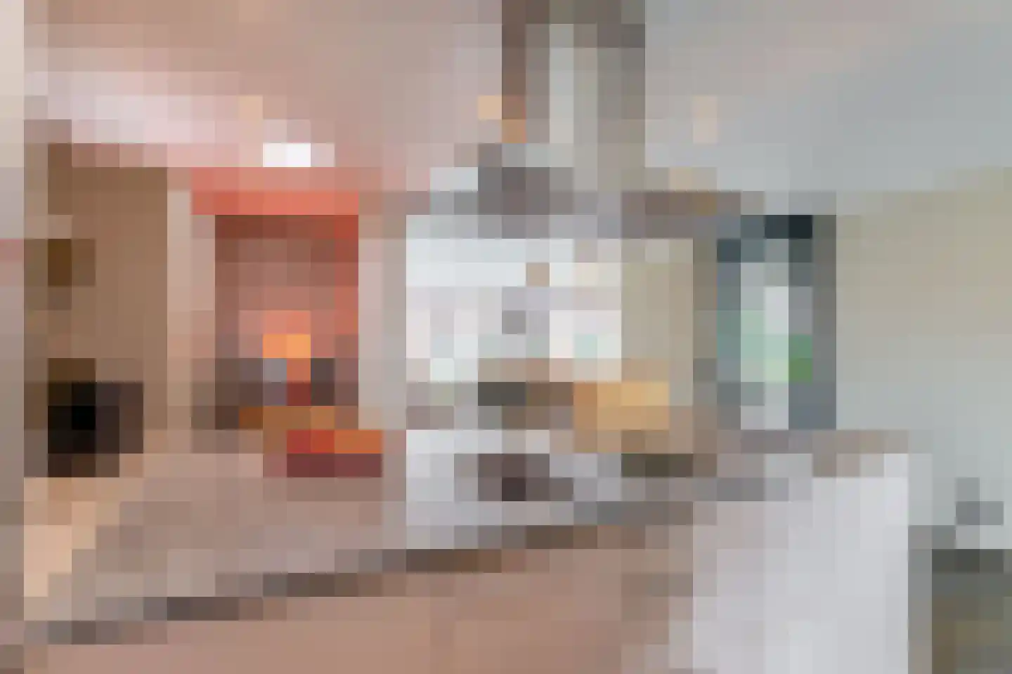 Veenmoslaan 12 Nieuw-Buinen thumbnail 28