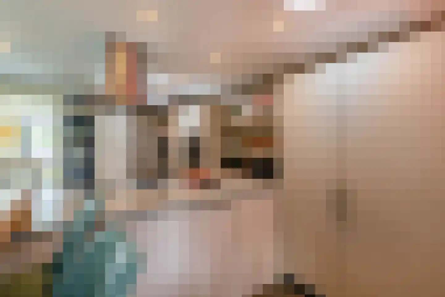 Veenmoslaan 12 Nieuw-Buinen thumbnail 29