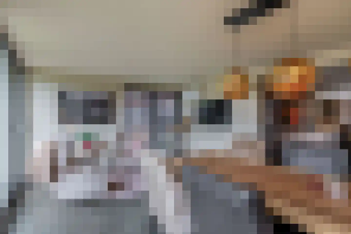 Veenmoslaan 12 Nieuw-Buinen thumbnail 32