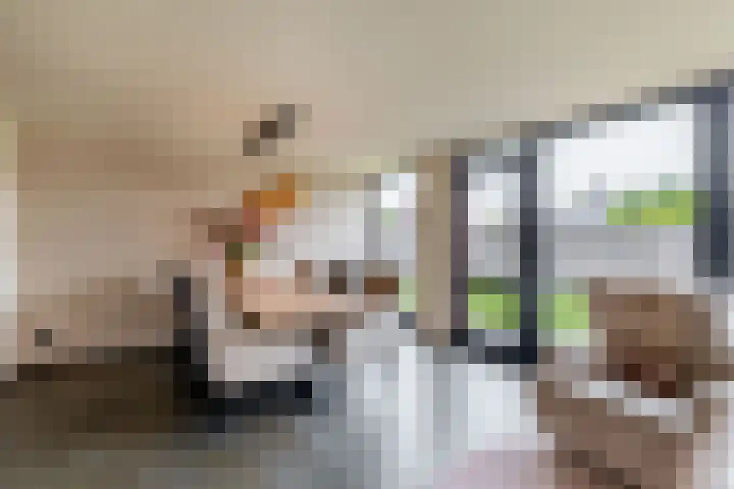 Veenmoslaan 12 Nieuw-Buinen thumbnail 33