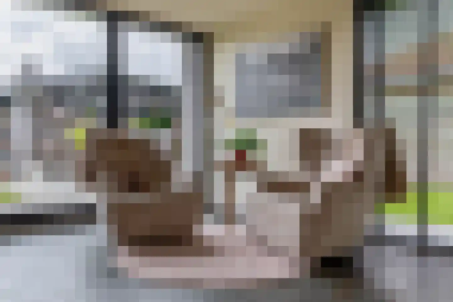 Veenmoslaan 12 Nieuw-Buinen thumbnail 35