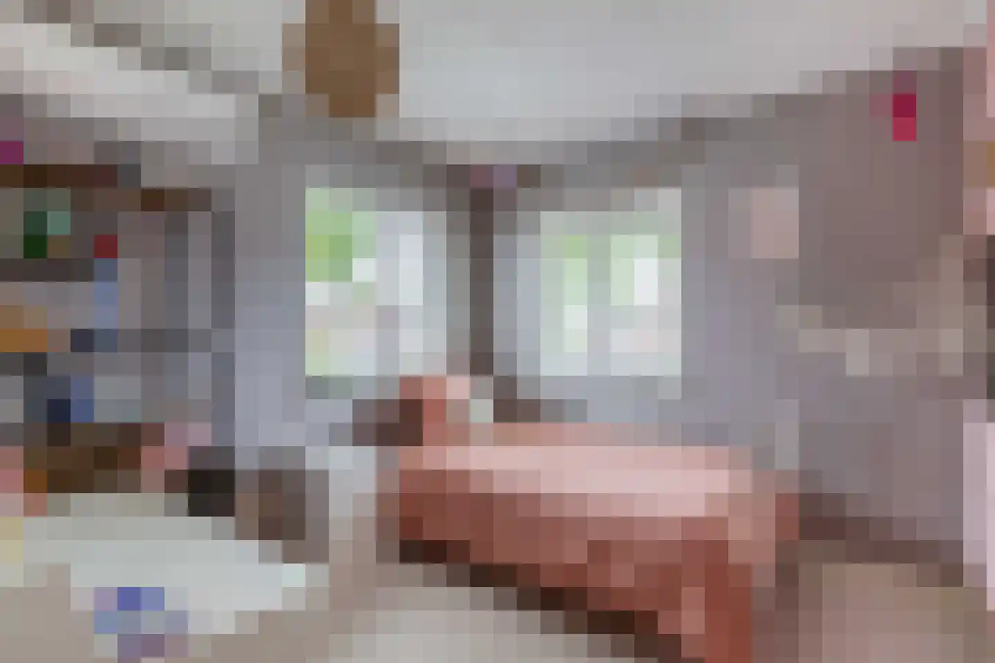 Veenmoslaan 12 Nieuw-Buinen thumbnail 42