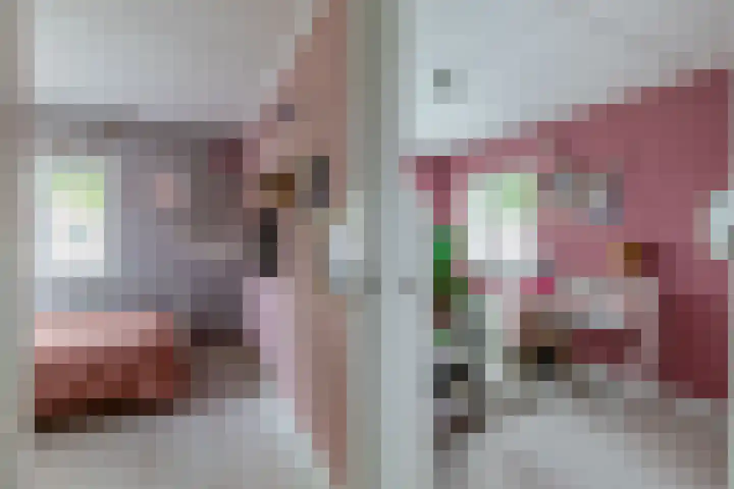 Veenmoslaan 12 Nieuw-Buinen thumbnail 43