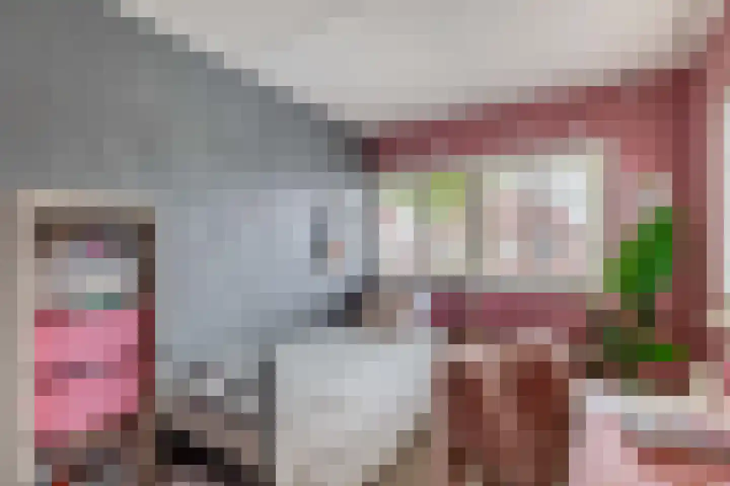 Veenmoslaan 12 Nieuw-Buinen thumbnail 44