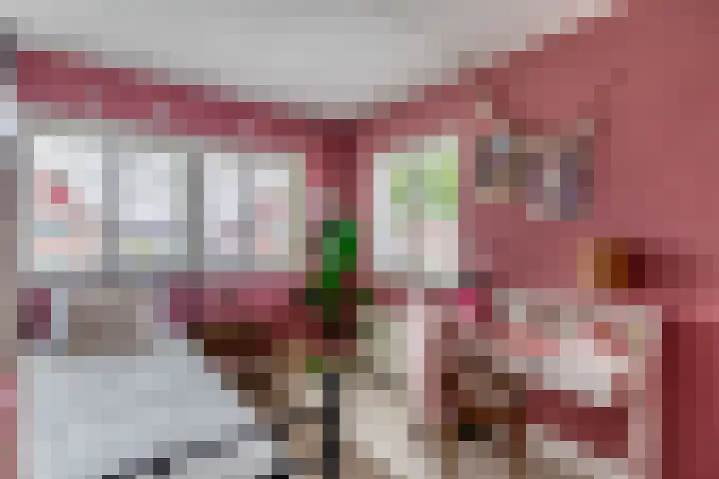 Veenmoslaan 12 Nieuw-Buinen thumbnail 45