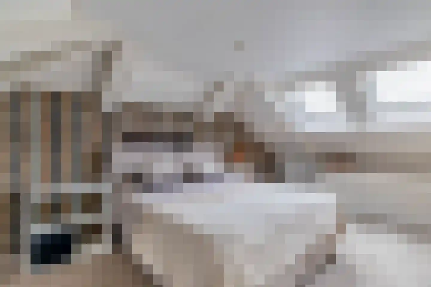 Veenmoslaan 12 Nieuw-Buinen thumbnail 47