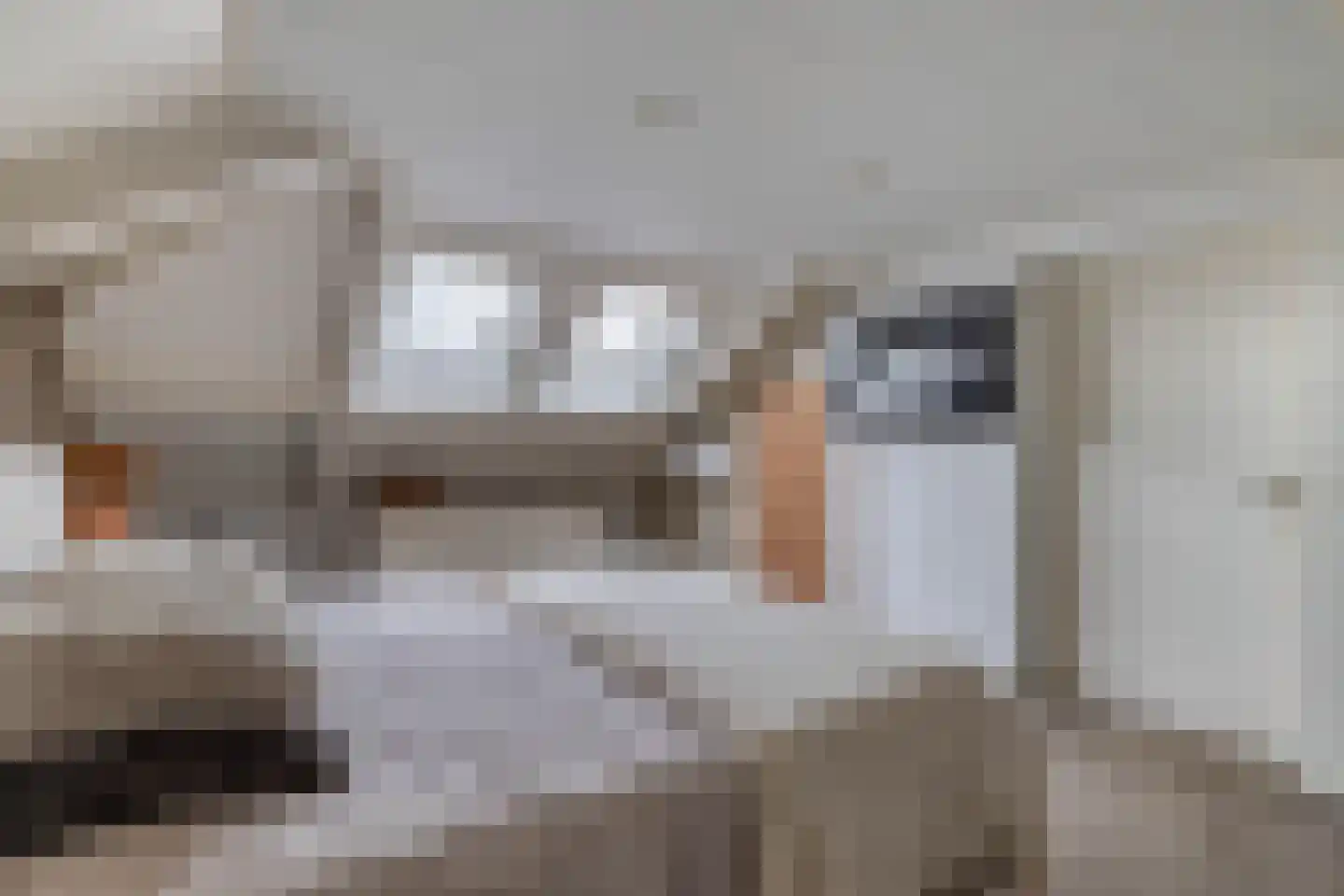 Veenmoslaan 12 Nieuw-Buinen thumbnail 48