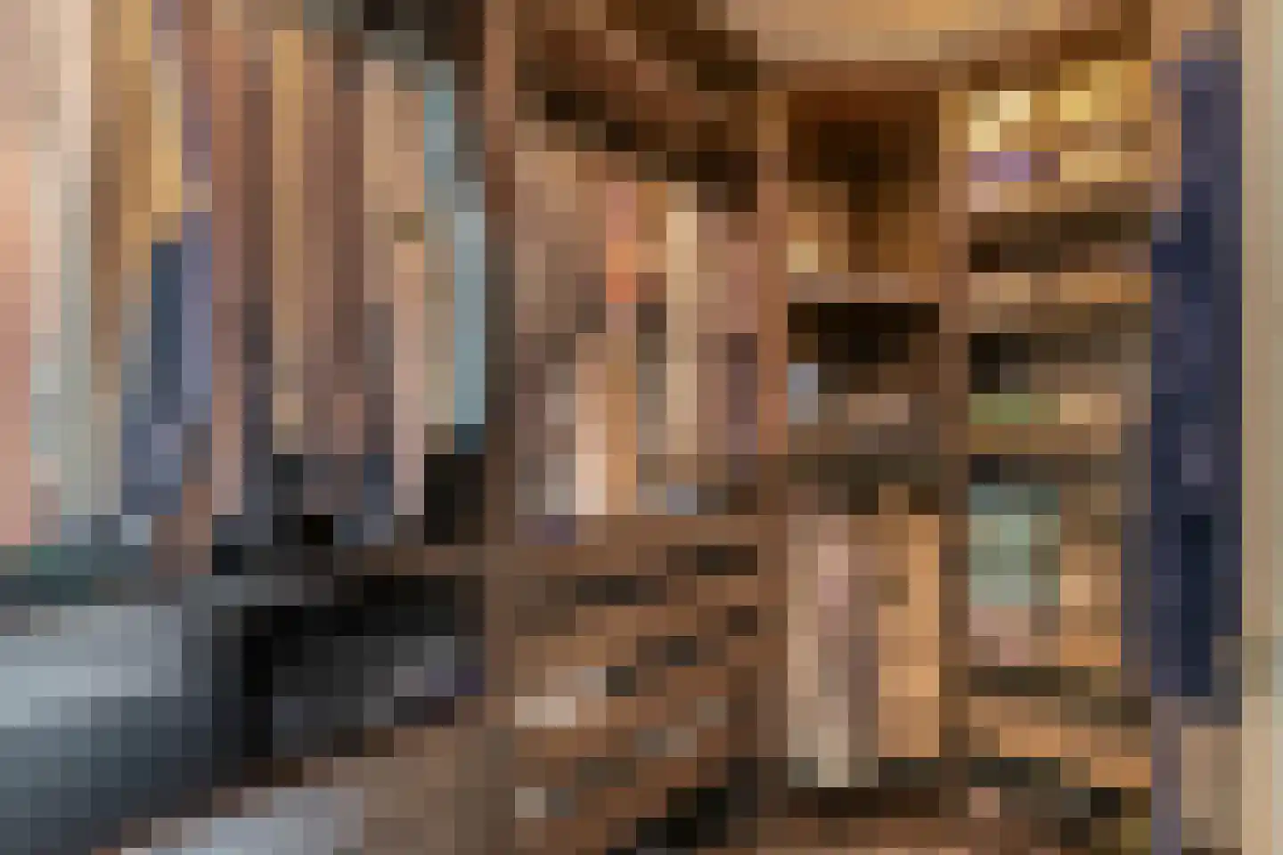 Veenmoslaan 12 Nieuw-Buinen thumbnail 49
