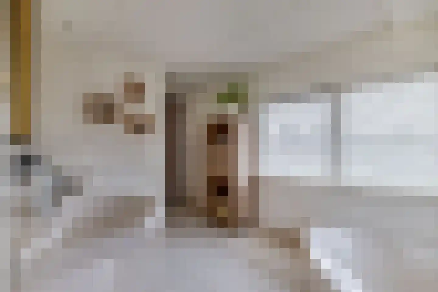 Veenmoslaan 12 Nieuw-Buinen thumbnail 51