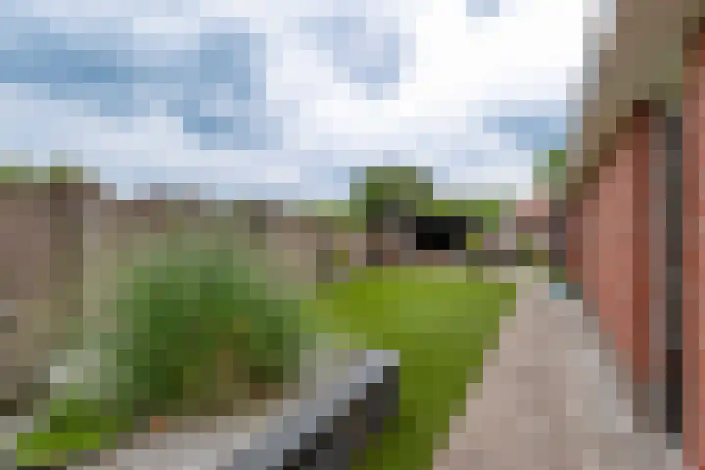 Veenmoslaan 12 Nieuw-Buinen thumbnail 58