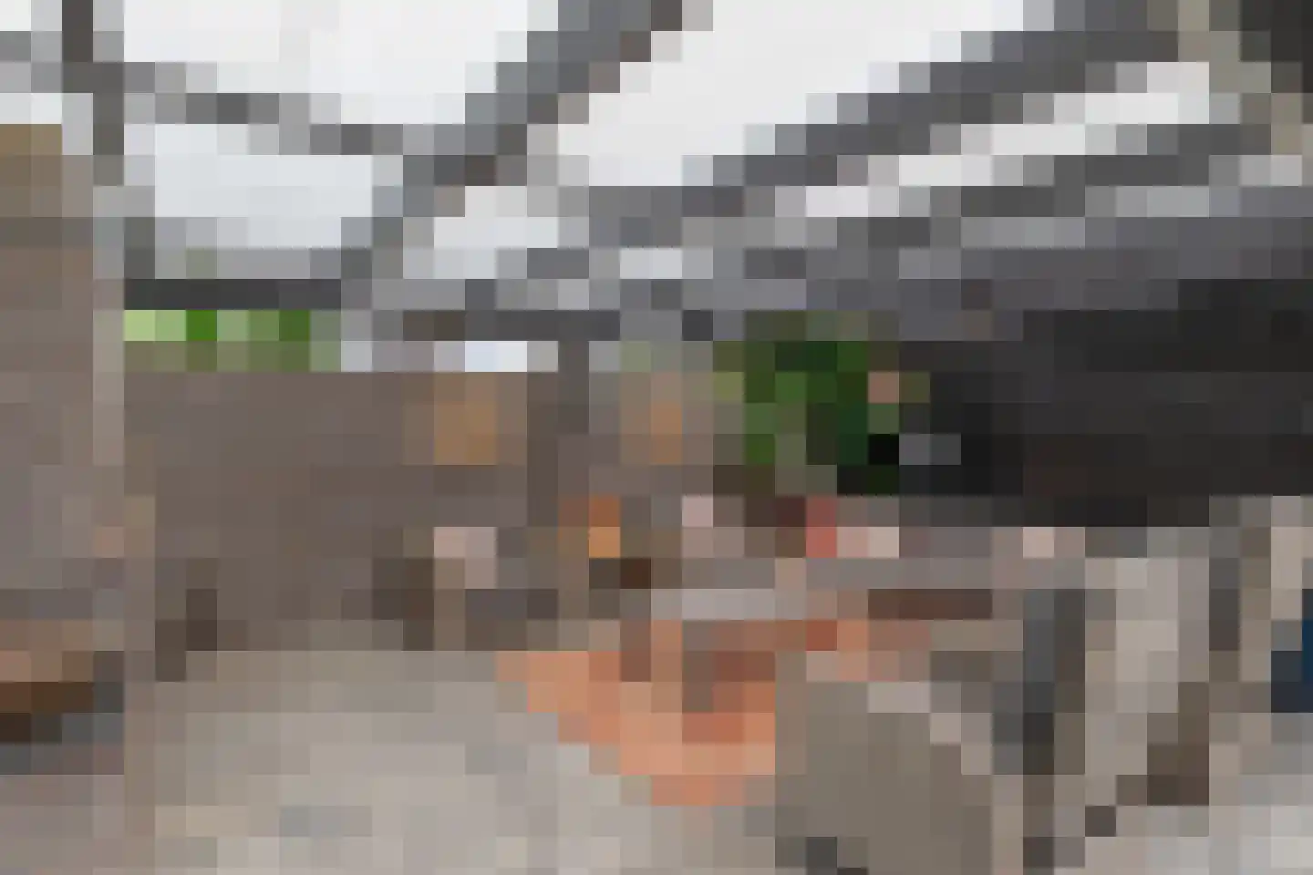 Veenmoslaan 12 Nieuw-Buinen thumbnail 64