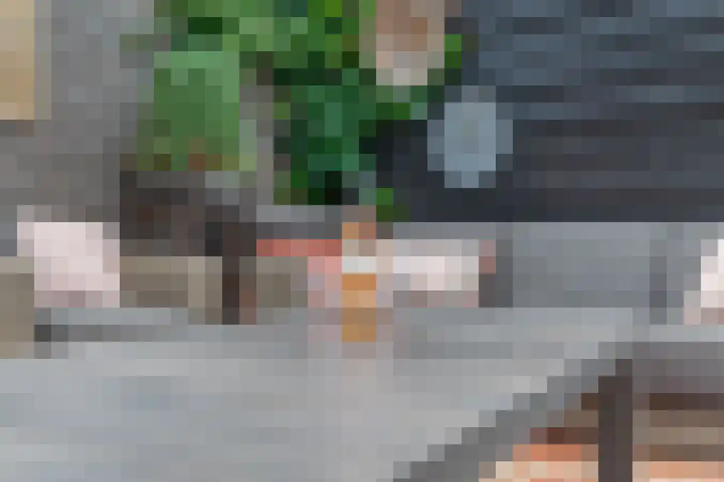 Veenmoslaan 12 Nieuw-Buinen thumbnail 66